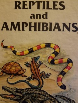 Reptiles and Amphibians