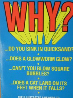 Why?: 1990 9780816716838 Front Cover