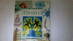 Brain