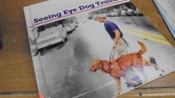 A Day in the Life of a Seeing Eye Dog Trainer