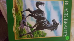 Black Beauty