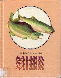 The Salmon