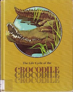 The Crocodile