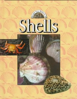 Shells