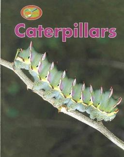 Caterpillars