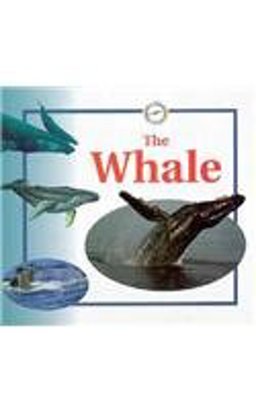 The Whale