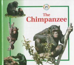 The Chimpanzee