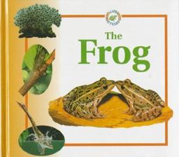 The Frog