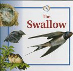 The Swallow
