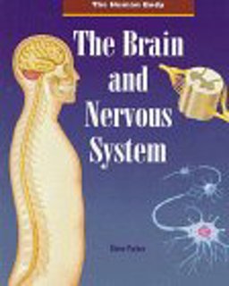 The Brain and the Nervous System