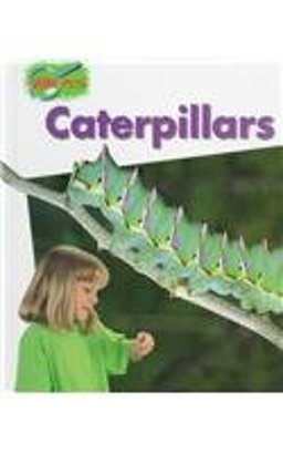 Caterpillars