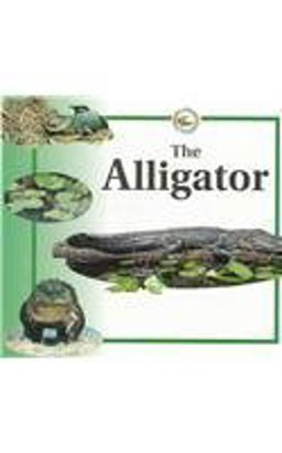 Life Cycle of the Alligator