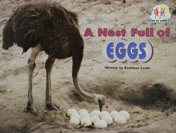 A Nest Full of Eggs