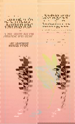 Searching for and Maintaining Peace A Small Treatise on Peace of Heart  9780818909061 Front Cover