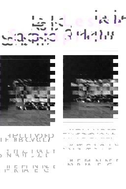 The Public World - Syntactically Impermanence