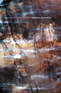 Practical Water  9780819569318 Front Cover