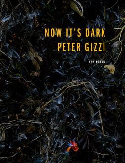 Now It's Dark  9780819579874 Front Cover
