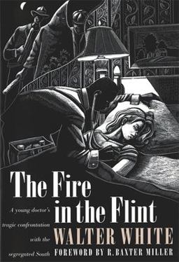 Fire in the Flint  9780820317427 Front Cover