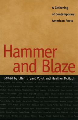 Hammer and Blaze A Gathering of Contemporary American Poets  9780820324166 Front Cover