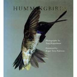 Hummingbirds Hummingbirds