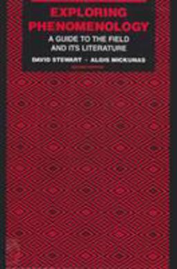 Exploring Phenomenology