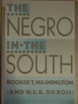 The Negro in the South
