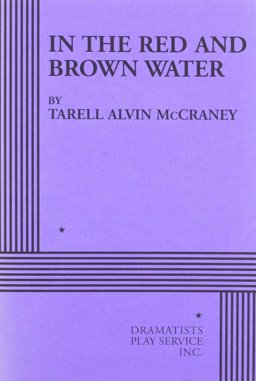 In the Red and Brown Water:  9780822226765 Front Cover