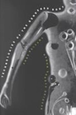 Technologies of the Gendered Body Reading Cyborg Women  9780822316985 Front Cover