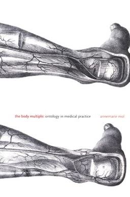 Body Multiple Ontology in Medical Practice  9780822329176 Front Cover