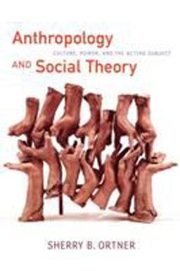 Anthropology and Social Theory Culture, Power, and the Acting Subject  9780822338642 Front Cover