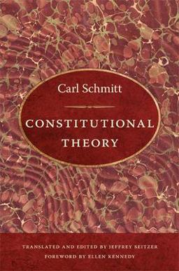 Constitutional Theory  9780822340706 Front Cover