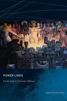 Power Lines On the Subject of Feminist Alliances  9780822343172 Front Cover