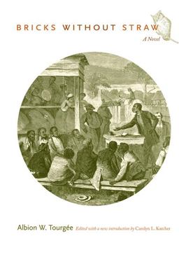 Bricks Without Straw A Novel  9780822344131 Front Cover