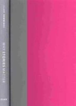 Why Stories Matter The Political Grammar of Feminist Theory  9780822348931 Front Cover
