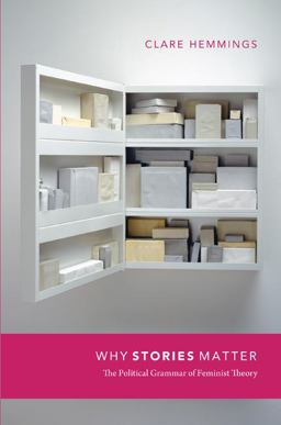 Why Stories Matter The Political Grammar of Feminist Theory  9780822349167 Front Cover