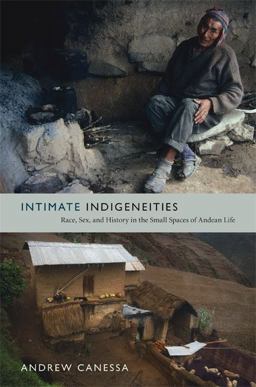 Intimate Indigeneities Race, Sex, and History in the Small Spaces of Andean Life  9780822352679 Front Cover