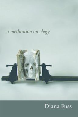 Dying Modern A Meditation on Elegy  9780822353898 Front Cover