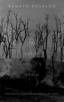 Day of Shelly's Death The Poetry and Ethnography of Grief  9780822356615 Front Cover