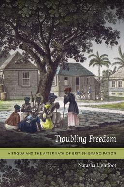 Troubling Freedom Antigua and the Aftermath of British Emancipation  9780822360070 Front Cover