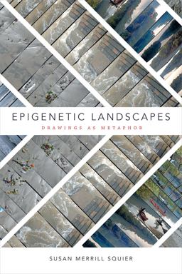 Epigenetic Landscapes Drawings As Metaphor  9780822368724 Front Cover