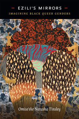 Ezili's Mirrors Imagining Black Queer Genders  9780822370383 Front Cover
