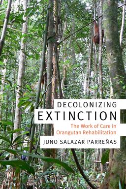Decolonizing Extinction The Work of Care in Orangutan Rehabilitation  9780822370772 Front Cover