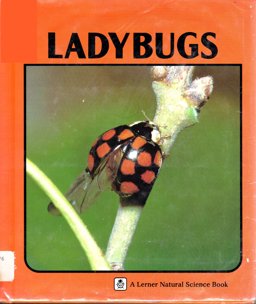 Ladybugs