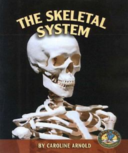 Skeletal System