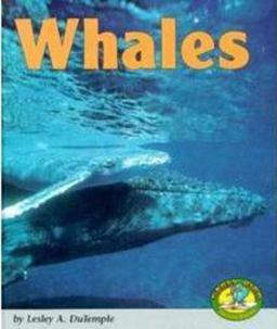Whales