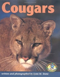 Cougars Cougars