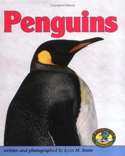 Penguins Penguins