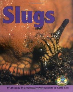 Slugs