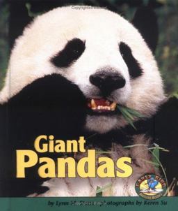 Giant Pandas Giant Pandas