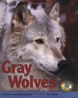 Gray Wolves Gray Wolves